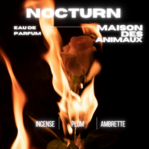 NOCTURN