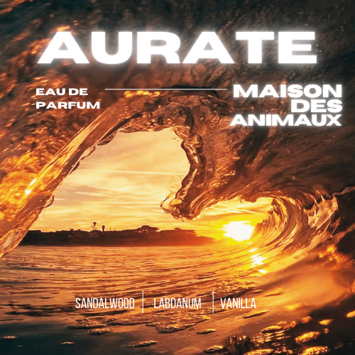 A large wave crashing during a sunset or sunrise, presenting Aurate eau de parfum by Maison des Animaux with scent notes of Sandalwood, Labdanum, and Vanilla.