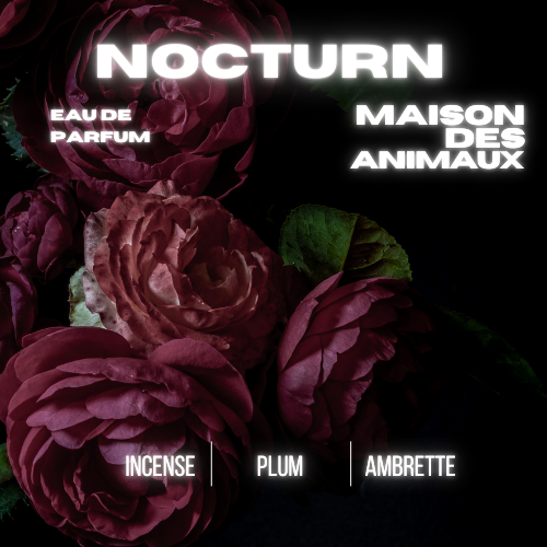 NOCTURN