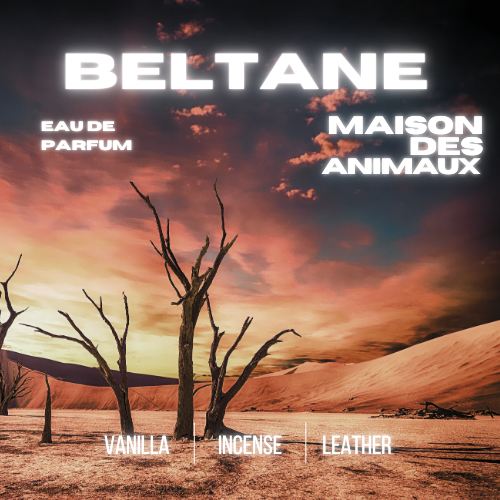 Advertisement for Beltane Eau de Parfum by Maison Des Animaux, featuring a large, crackling bonfire at night and listing scent notes: Vanilla, Incense, Leather.