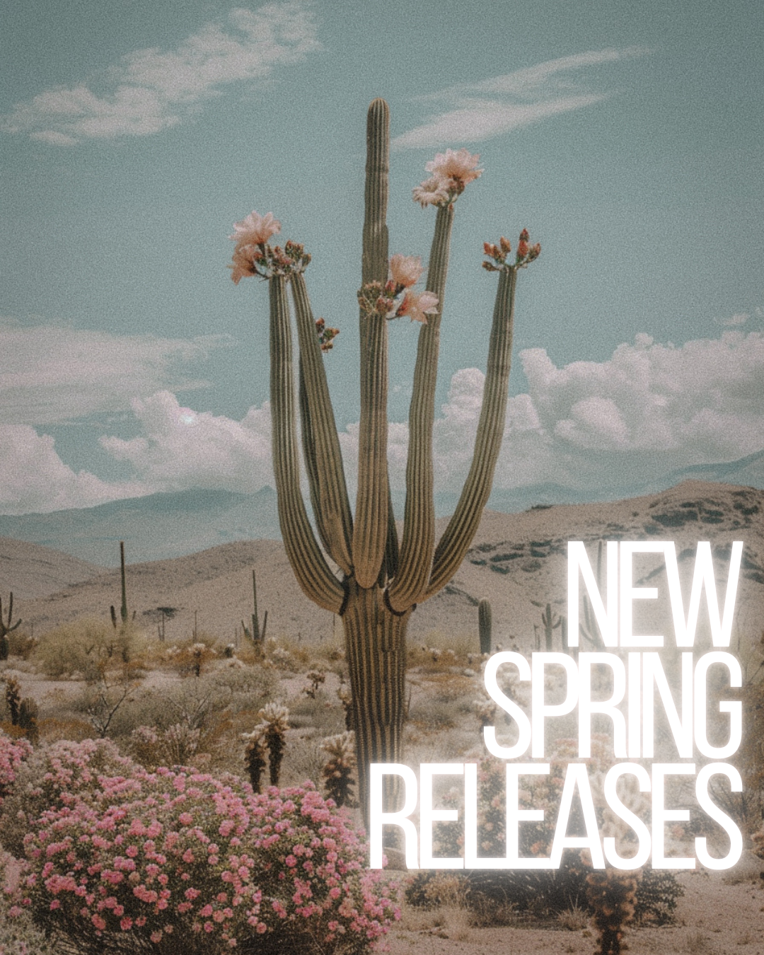 Spring Releases