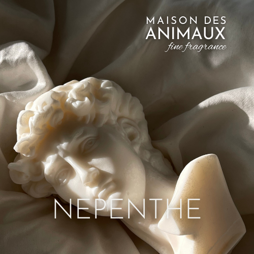 NEPENTHE