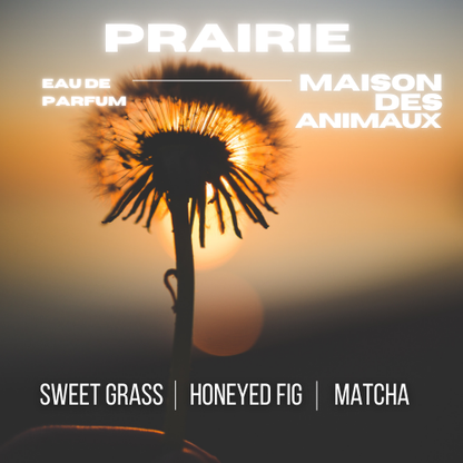 A dandelion seed head silhouetted against a sunset or sunrise sky, presenting Prairie eau de parfum by Maison des Animaux with scent notes of Sweet Grass, Honeyed Fig, and Matcha.