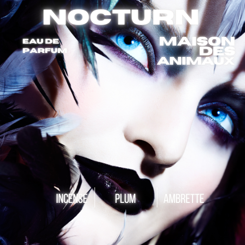Advertisement for Nocturn Eau de Parfum by Maison Des Animaux, showing a striking close-up of a face with dramatic blue eyes and dark makeup, listing scent notes: Incense, Plum, Ambrette.