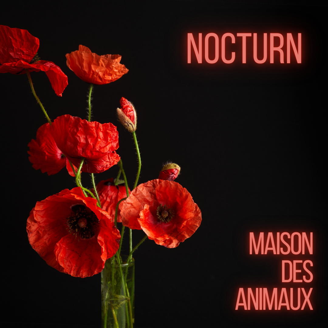 Nocturn - Maison des Animaux Fragrances