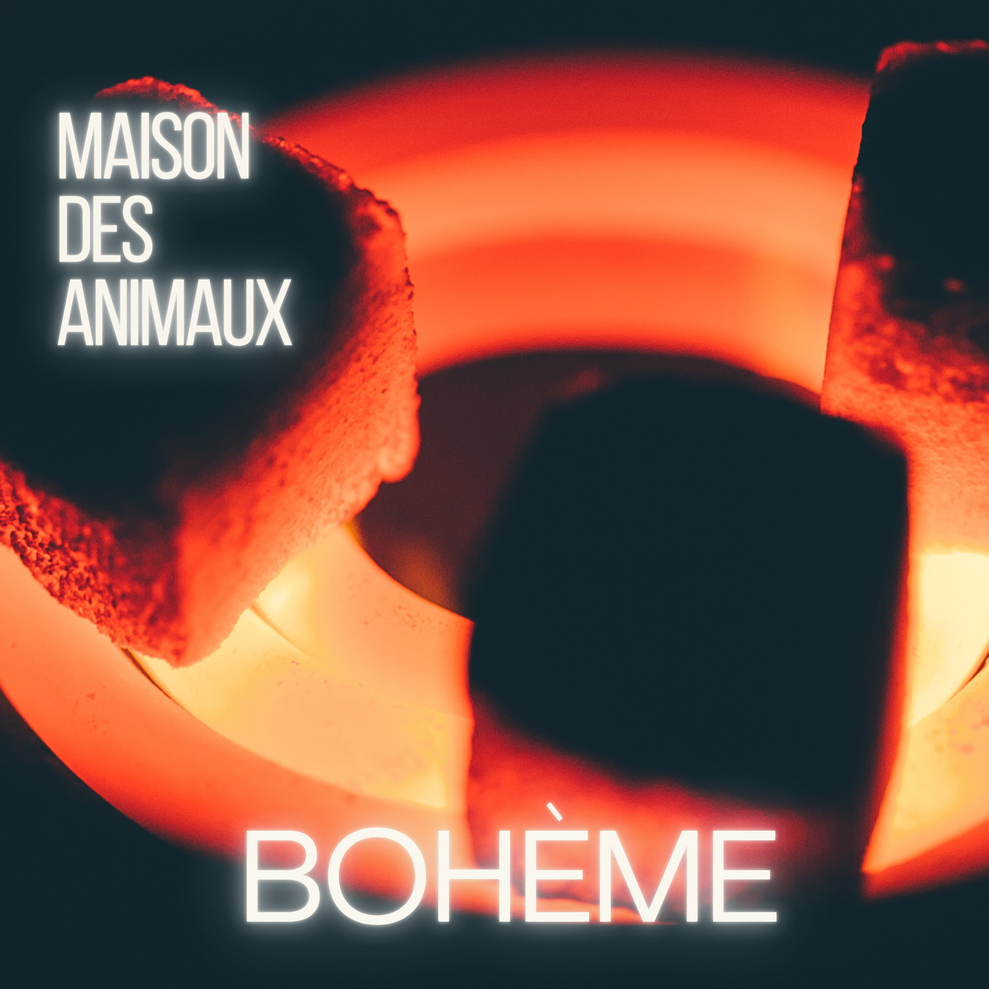 Boheme - Maison des Animaux Fragrances