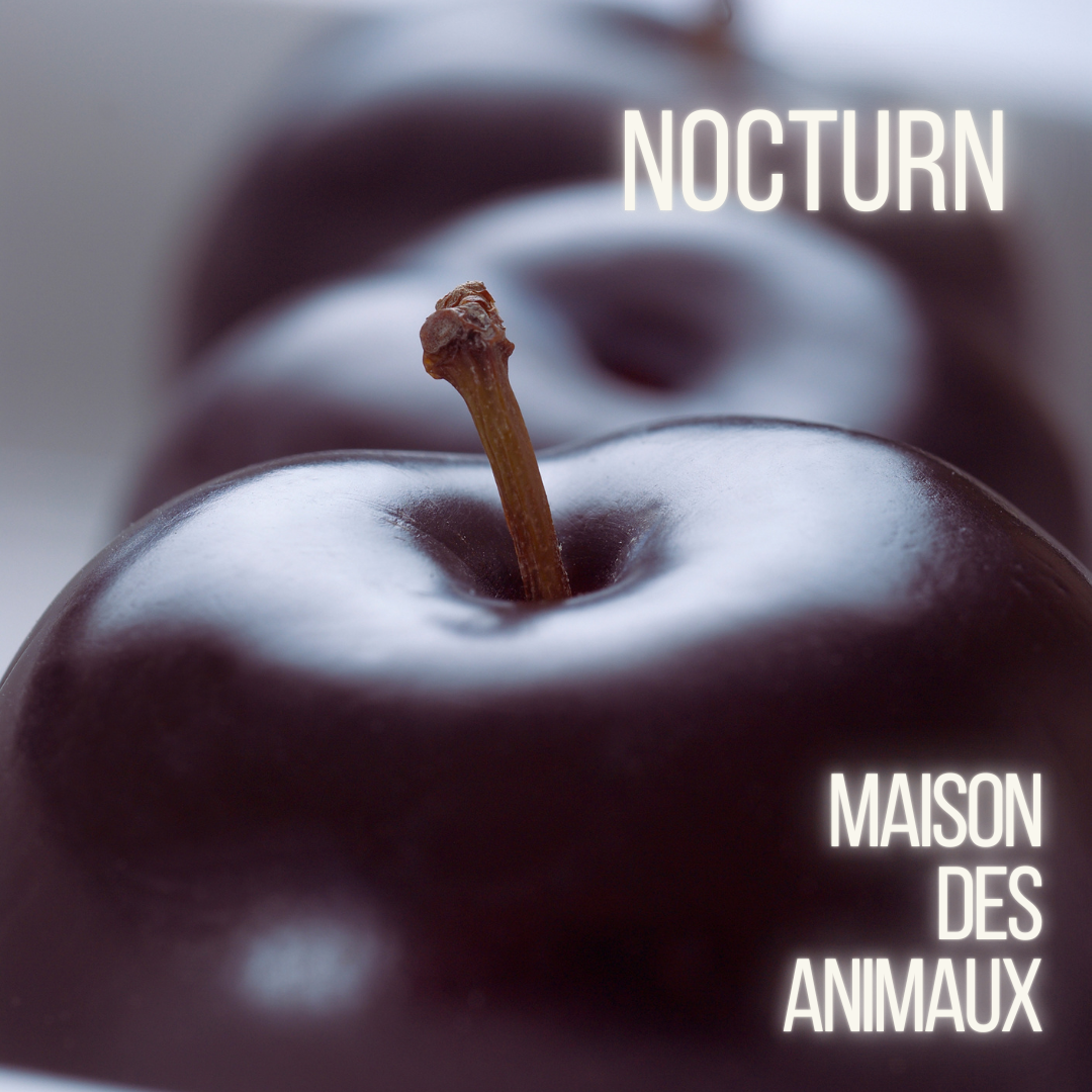 Nocturn - Maison des Animaux Fragrances