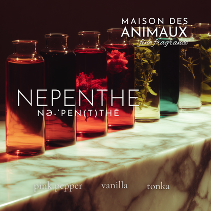 NEPENTHE