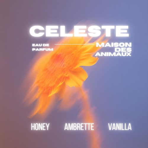 An abstract orange and yellow shape on a purplish-grey background, presenting Celeste eau de parfum by Maison des Animaux with scent notes of Honey, Ambrette, and Vanilla.