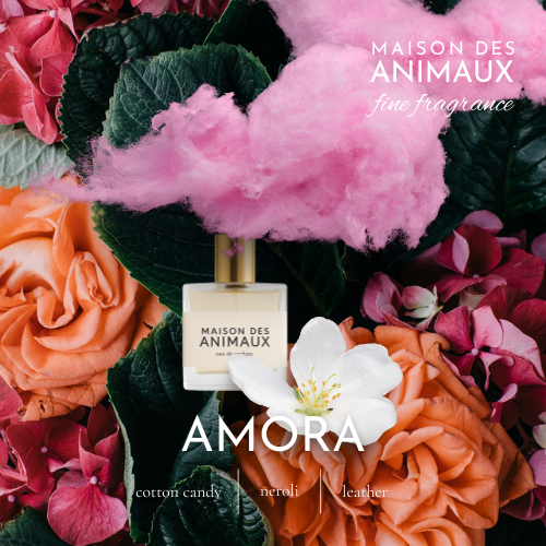 AMORA