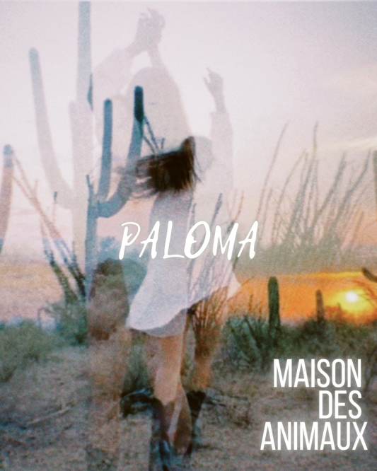 Paloma