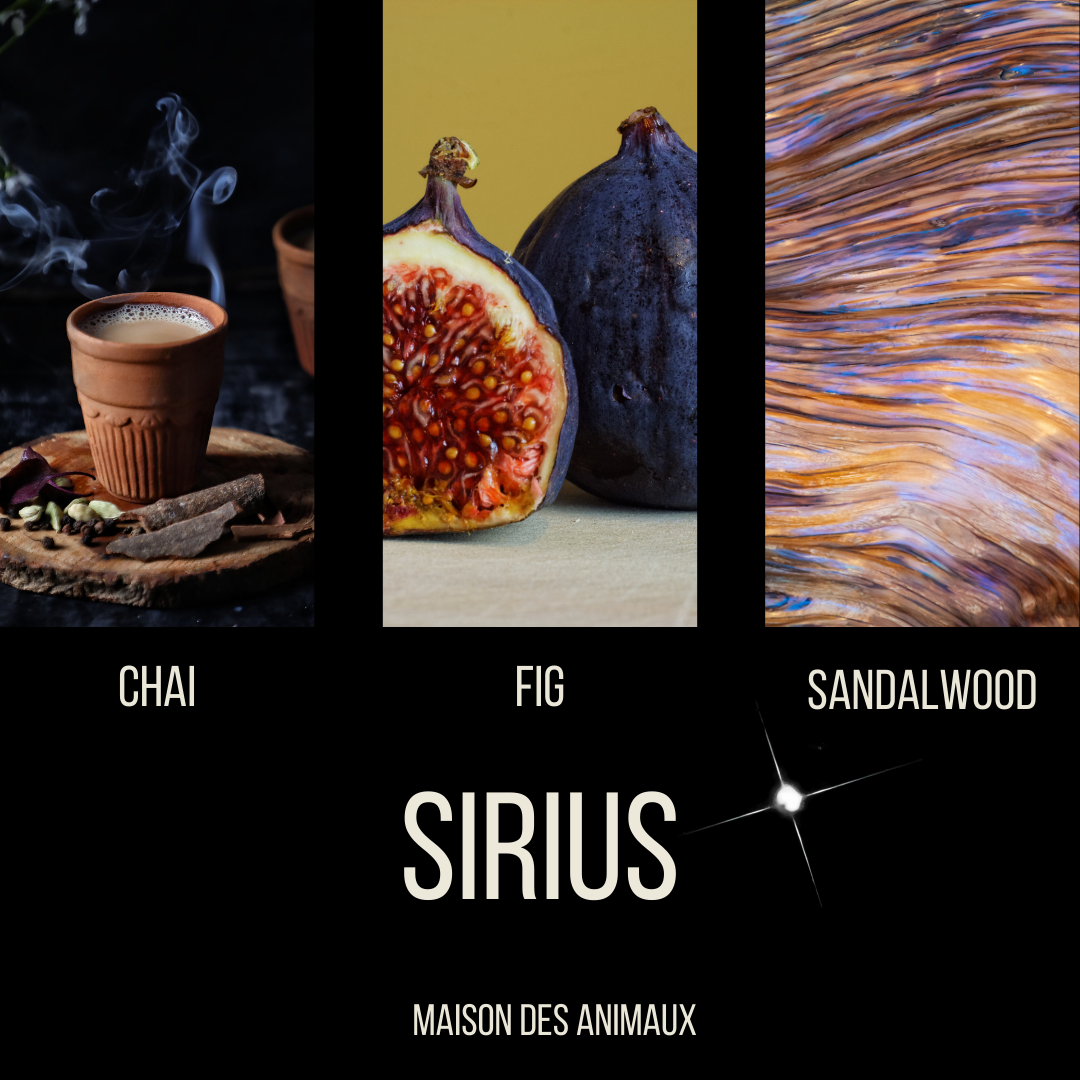 Sirius - Maison des Animaux Fragrances