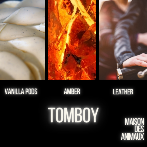 TOMBOY