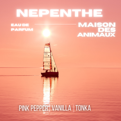 A sailboat on calm water at sunset or sunrise, presenting Nepenthe eau de parfum by Maison des Animaux with scent notes of Pink Pepper, Vanilla, and Tonka.