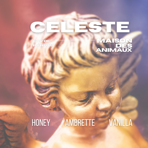 A close-up of a golden cherub sculpture with soft lighting, presenting Celeste eau de parfum by Maison des Animaux with scent notes of Honey, Ambrette, and Vanilla.