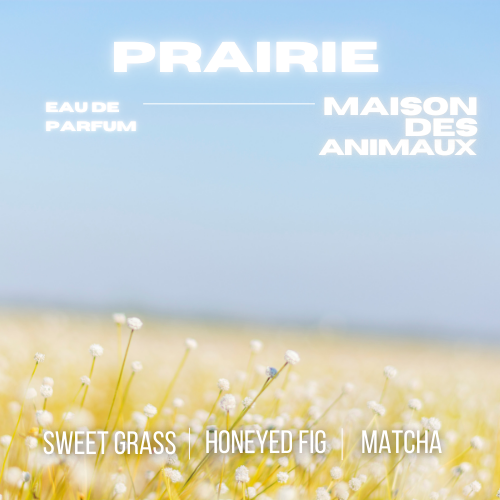 A field of small white flowers under a blue sky, presenting Prairie eau de parfum by Maison des Animaux with scent notes of Sweet Grass, Honeyed Fig, and Matcha.