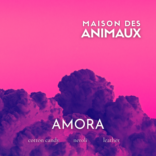 AMORA