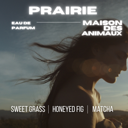 A person in profile with windblown hair in an outdoor setting, presenting Prairie eau de parfum by Maison des Animaux with scent notes of Sweet Grass, Honeyed Fig, and Matcha.