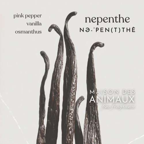 NEPENTHE