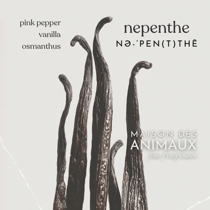 NEPENTHE