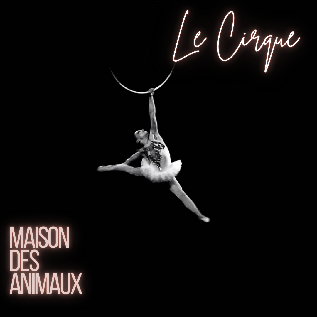 Le Cirque - Maison des Animaux Fragrances