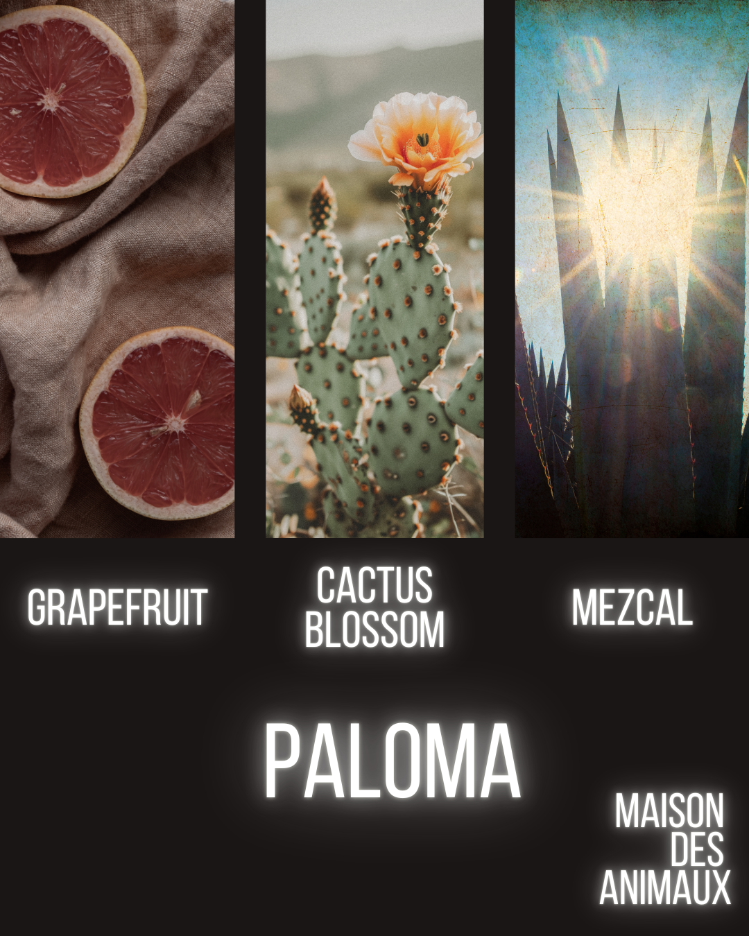 Paloma