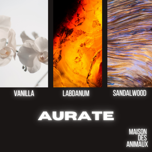 A triptych of images showing white orchids, an abstract orange and black texture, and colorful wood grain, presenting Aurate eau de parfum by Maison des Animaux with scent notes of Vanilla, Labdanum, and Sandalwood displayed below their corresponding images.
