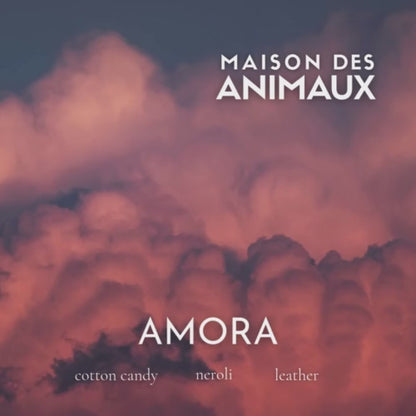 AMORA