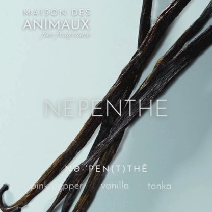 NEPENTHE